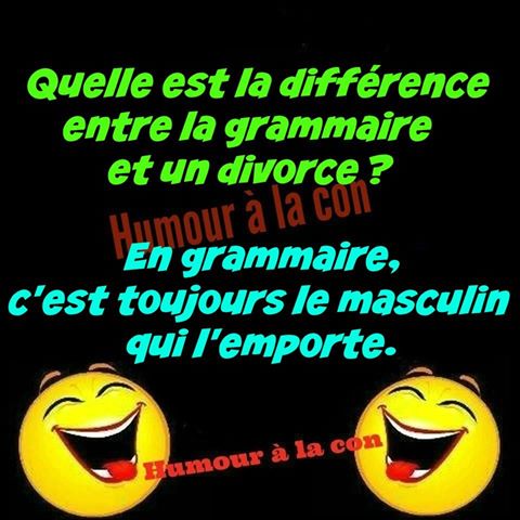 qu'elle la différence entre la grammaire et le divorce   en grammaire c'est la masculain qui gagne