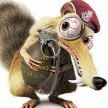 Armée   caricature   grenade