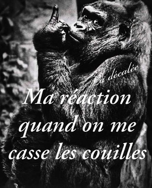 Caricature   Blague   ma réaction quand on me casse les couilles