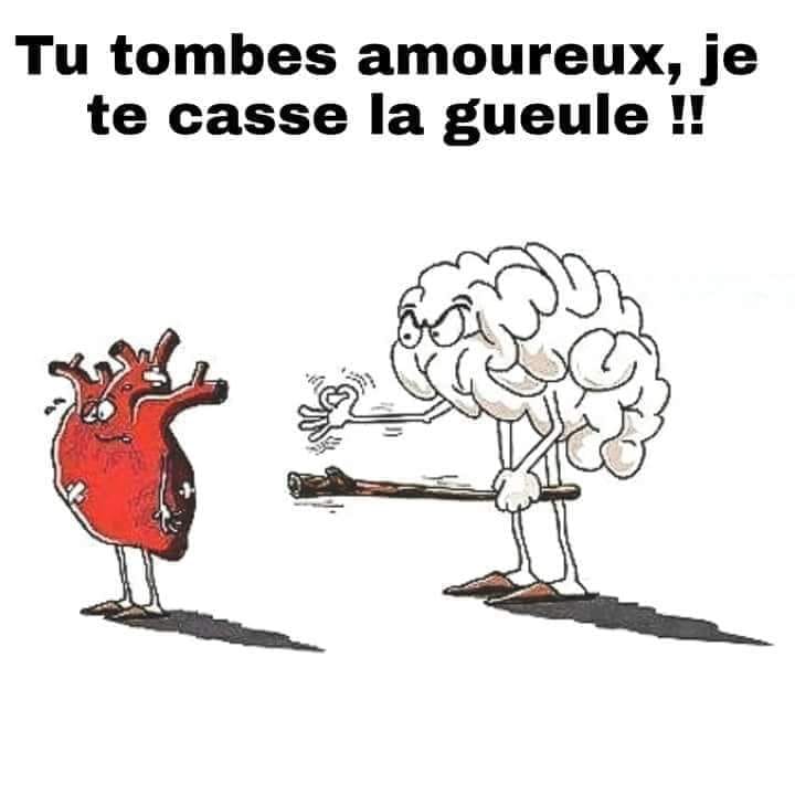 Caricature   amour   le cerveau dit au coeurtu tombe amoureux je te casse la gueule