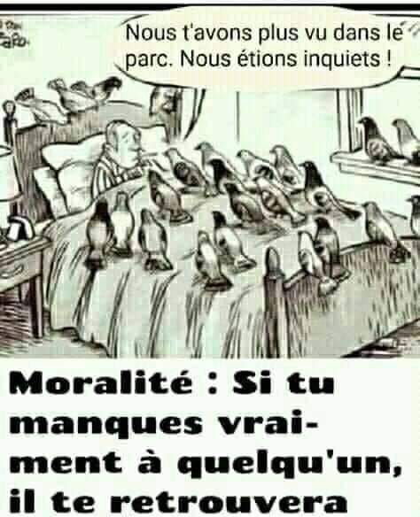 Caricature   amour   oiseaux sur le lit d'un homme et dit nous t'avons plus vu dans le parc   moralité   si tu manque vraimenta quelqu'un il te retrouvera