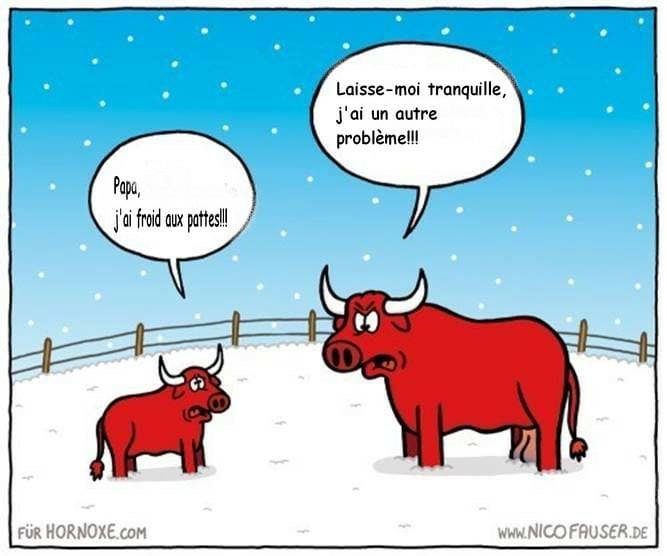 Caricature   animaux papa j'ai froid aux patte   désolé mon enfant j'ai d'autre problèmes