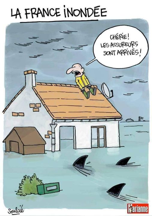 Caricature   assurance   inondation   habitation   requins qui arivent dans une maison inondés   et homme qui dit les assureurs arrivent