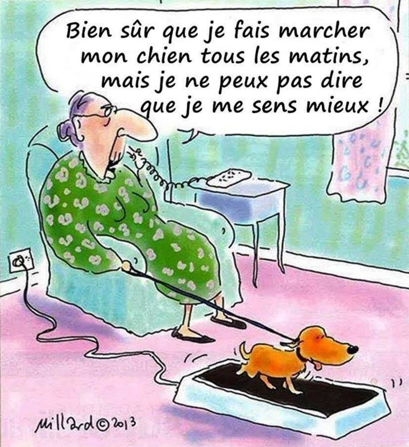 Caricature   biensur que je fais marcher mon chien tout les matins mais je ne peut pas dire que je me sens mieux