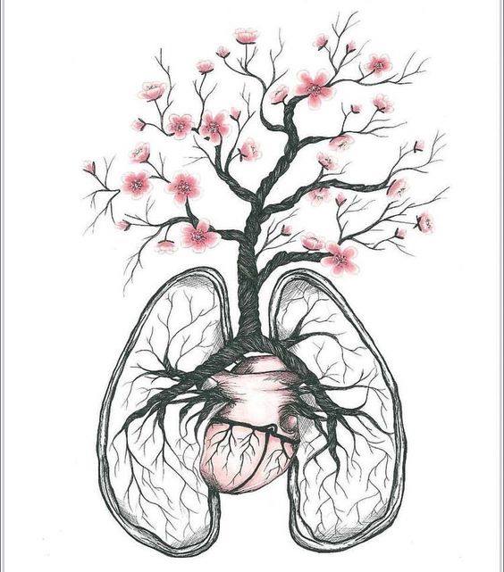 Caricature   biologie   poumon avec arbres