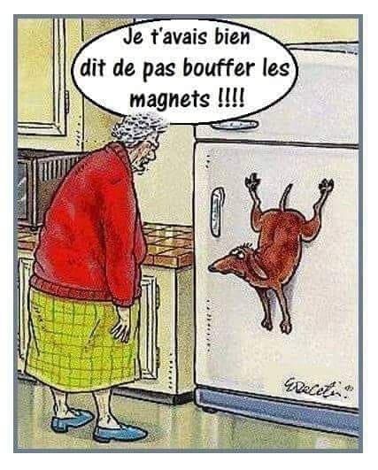 Caricature   blague   chien sur frigo qui a manger les aimant