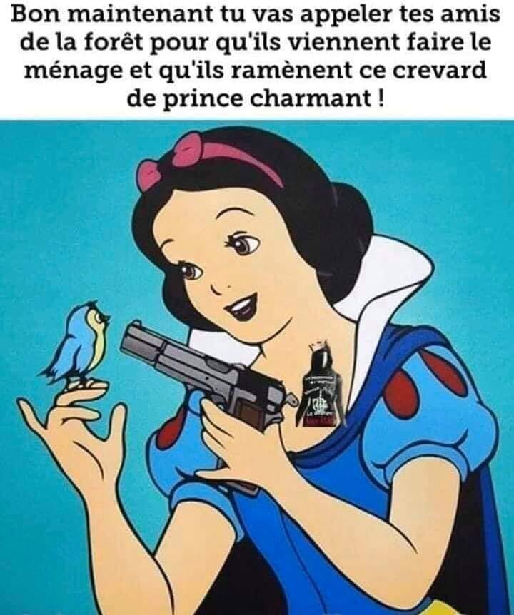 Caricature   blanche neige   bon maintnant tu vas appeller tes amis de la foret pour qu'ils viennent fair le menage et qui ramene le prince charmant