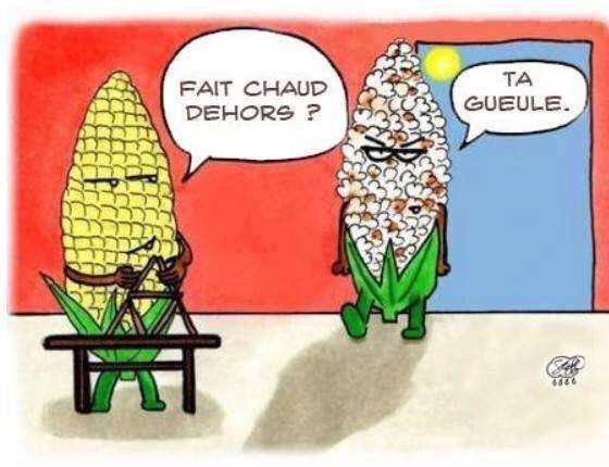 Caricature   canicule   mais qui dit il fait chaud dehors l'autre épis demais en popcorn ta gueule