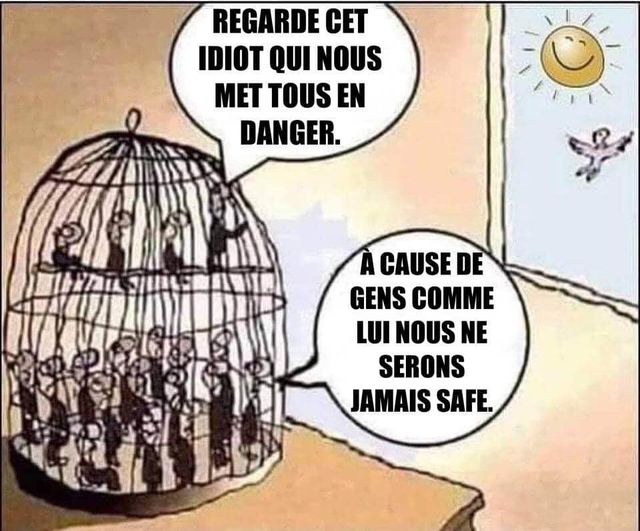 Caricature   confinement   oiseau en cage qui voit un oiseau dans le ciel qui dit regarde cet idiot qui nous met tous en danger c'est à cause de lui nosu ne serons jamais libre