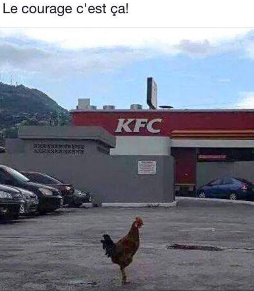 Caricature   coq devant le kfc le courage c'est ça