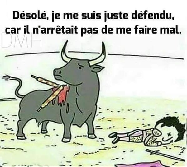 Caricature   corrida   taureau qui tue le torero et dit   désolé je me suis juste défendu car il n'arrêtait pas d eme faire mal