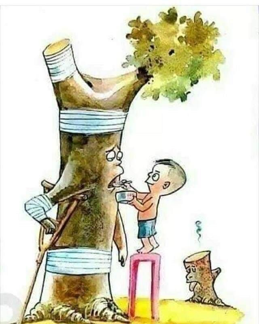 Caricature   dessin   arbre bléssé et enfant qui soigne l'arbre bléssé