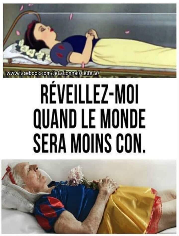 caricature   Blanche neige en jeune et vieille    réveillez moi quand le monde sera moins con