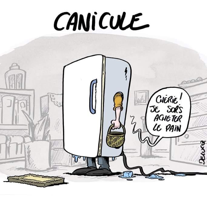 caricature   canicule   homme dans un frigo pour se rafraichir