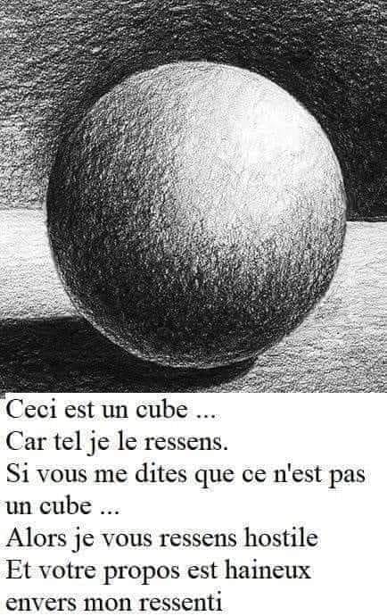 Caricature   dessin   boule et dit ceci est un cube car tel je le ressens si vous me dites que ce n'est pas un cube je vous ressens hostile