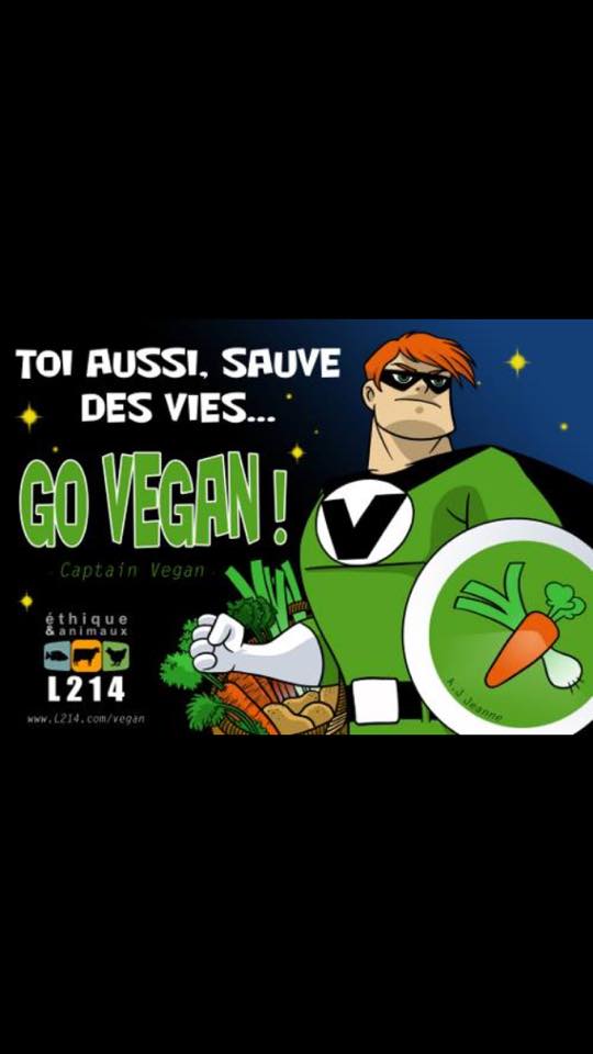 Caricature   dessin   toi aussi sauve des vies go vegan