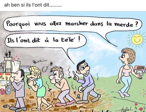 Caricature   et pourquoi vous allre marcher dans la merde c'est a la tv qui l'ont dit