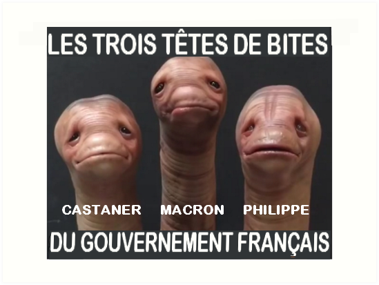 Caricature   gouvernement français   3 tête de bites