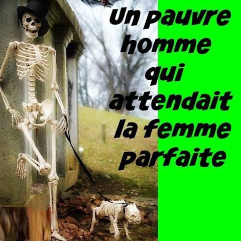 Caricature   homme   un homme qui attendait la femme parfaite