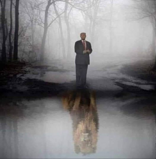 Caricature   homme est reflet du lion sur l'eau