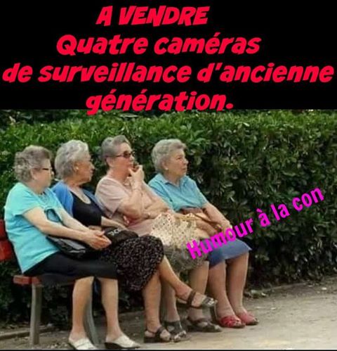 Caricature   humour   vend 4 caméras de surveillance d'ancienne génération