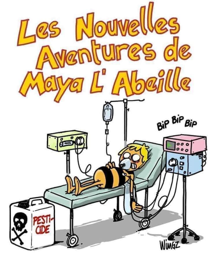 Caricature   écologie   le snouvelles aventures de maya l'abeille