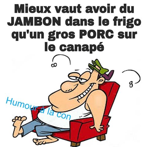 Caricature   Jeux de mot   Mieux vaut avoir du jambon dans le frigo qu'un gros porc sur le canapé