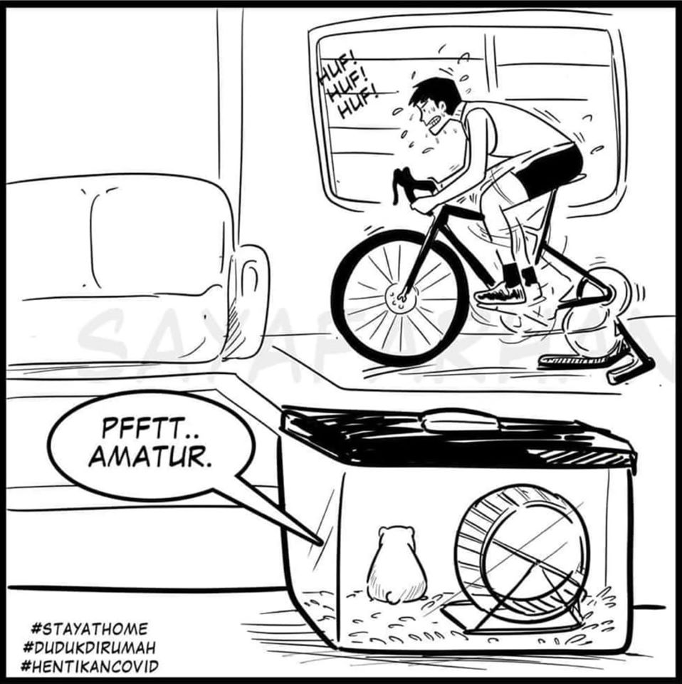 Caricature   jeu d'image   homme qui fait du vélo et hamster dans sa cage qi dit amateur