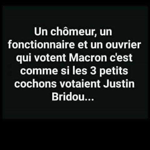 Caricature   jeu de mot   un chomeur un fonctionnaire et un ouvrier qui votent macron cest comme si les 3 petits cochon votaient justin bridou