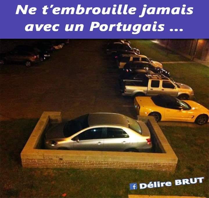 Caricature   jeux de mot et d'image   voiture entouré eparpin   ne t'embrouile jamais avec un portugais