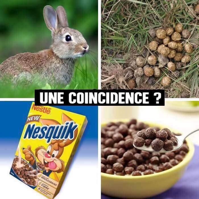 Caricature   lapin et ses crotte d emerde et nesquik et crotte de merde = chocolat dans bol