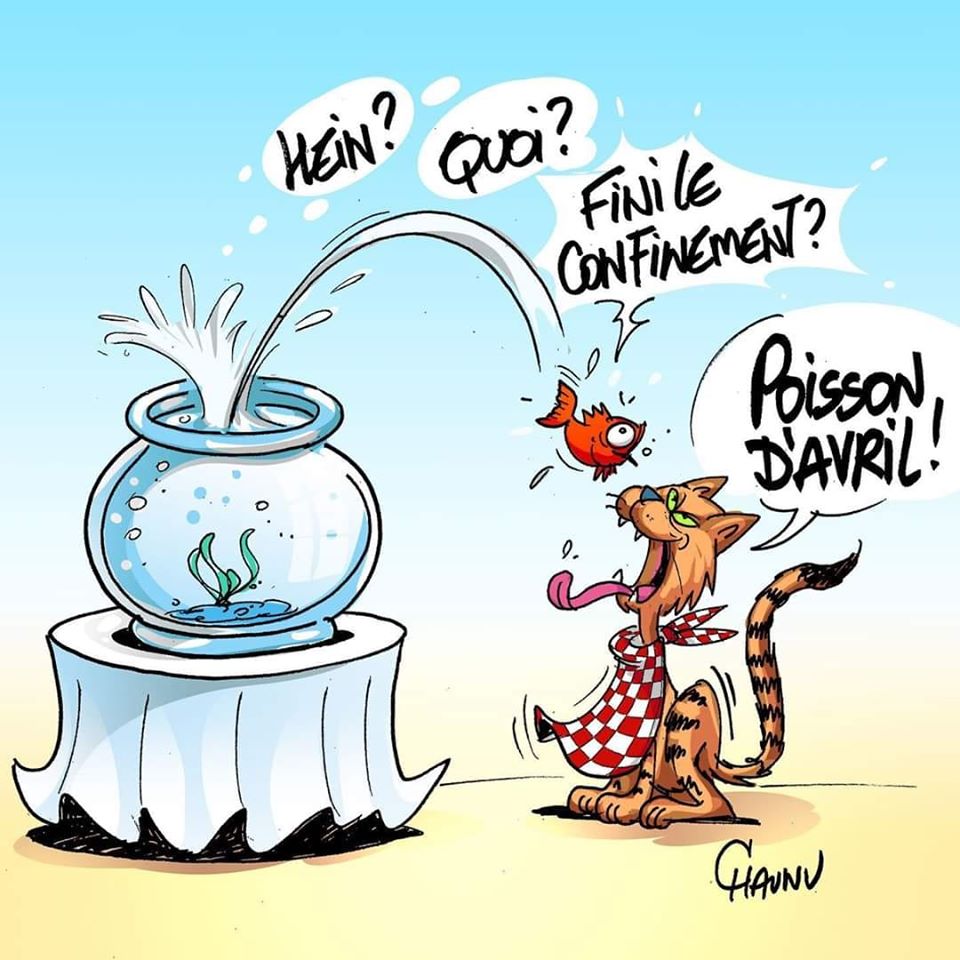 Caricature   le chat qui mange le poisson fini leconfienement