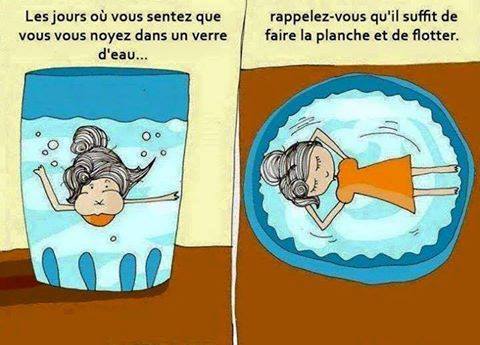 Caricature   le jour ou vous vous noyer dans un verre d'eau n'oublié de faire la planche et de flotter