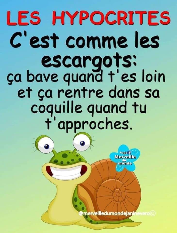 Caricature   les hypocrite c'est comme les escargots ça bave quand t'es loin et ça rentre dans sa coquille quand tu t'approche