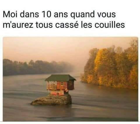 Caricature   maison sur un ilot   moi dans 10 ans quand vous m'aurez tous cassé les couille