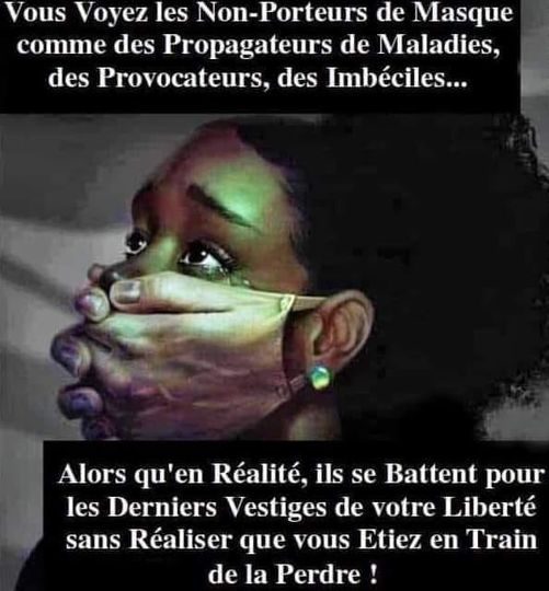 Caricature   masque   vous voyez les non porteur de masque comme des propagateurs de maladies des provocateurs des imbéciles alors qu'ils se battent pour vos libertés