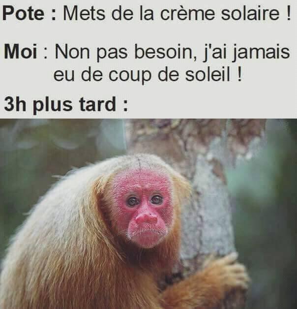 Caricature   mets de la crème solaire   non pas besoin   3h plus tard la tete toutes rouges