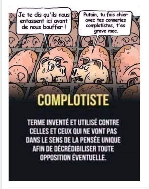 Caricature   mort  cochon dans un abattoir qui dit je te dis qu'ils nous entassent içi avant d enous bouffer l'autre répond tu fais chier avec tes conneries complotiste t'est grave mec