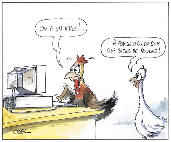 Caricature   on a un virus   normal a force d'aller sur un site de poules