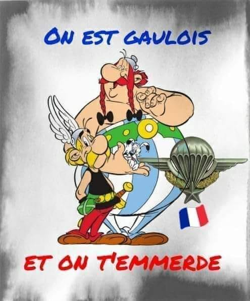 Caricature   on est gaulois et on t'enmerde