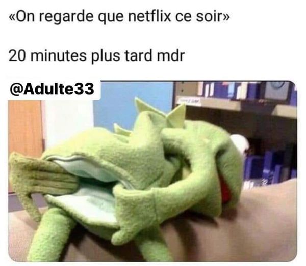 Caricature   on regarde que netfix ce soir   20 minute après