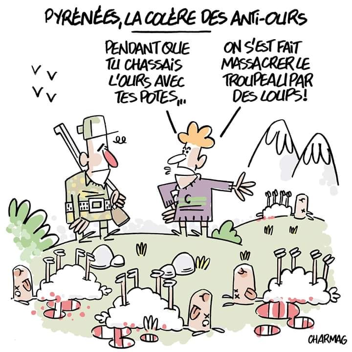 Caricature   pendant que tu chassais l'ours le loup a tué le troupeau de mouton