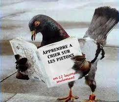 Caricature   pigeon a prendre a chier sur les pietons