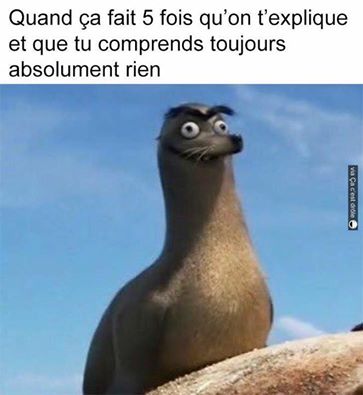 Caricature   quand on t'explique 5 fois et que tu ne comprends toujours pas