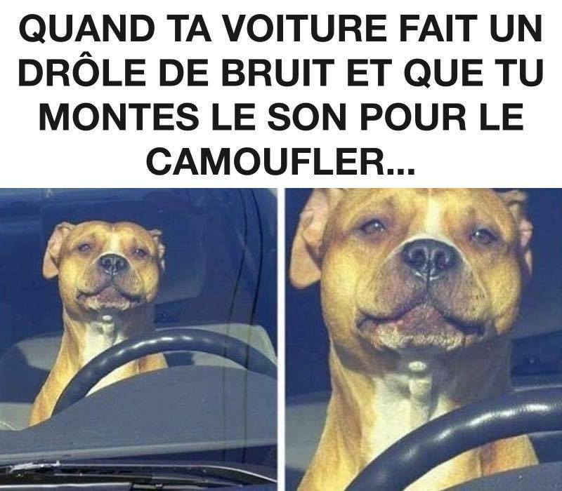 Caricature   quand ta voiture fait un role de bruit et que tu montes le son pour le camoufler