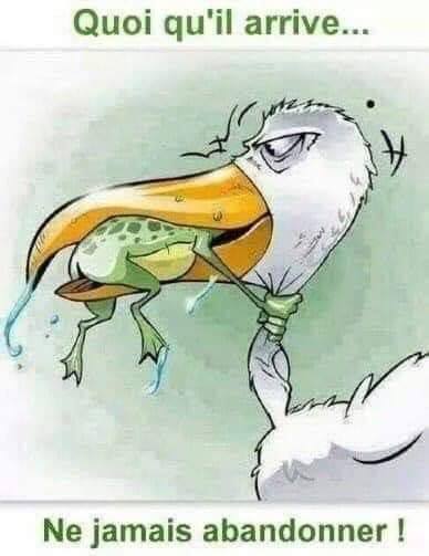 Caricature   quoi qu'il arrive ne jamais abandonner grenouille qui se fait avaler par un oiseau et qui lui serre le coup