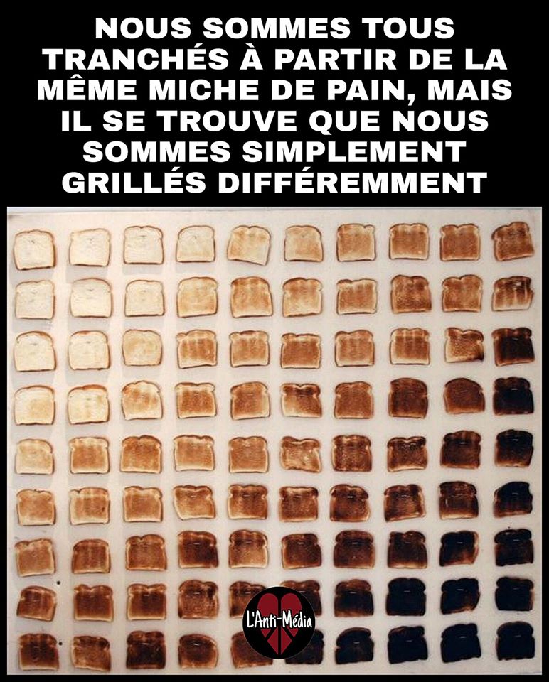 Caricature   racisme   tranche de miche de pain grillé différement