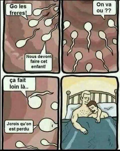 Caricature   sexe   PD   le spermatozoide on est ou