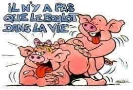 Caricature   sexe   cochon   il n'y a pas que le boulot dans la vie