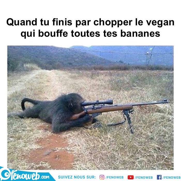 caricature   singe avec fusil à lunette   quand tu finis par chopper le vegan qui mange toute tes bananes